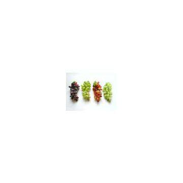 Artificial grape,Plastic grapes(FHL45B2)