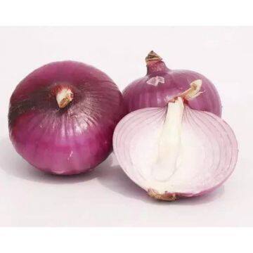 Wholesale New Fresh Red Onion With Good Price photo-2