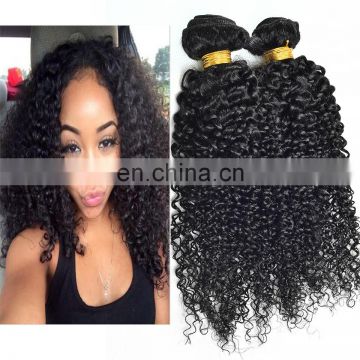 china hair factory 10a grade mink virgin hair afro curly salon hair equipment