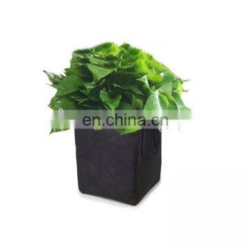 Wholesale 5 Gallon Non Woven Felt Garden Strawberry Planter Grow Bag