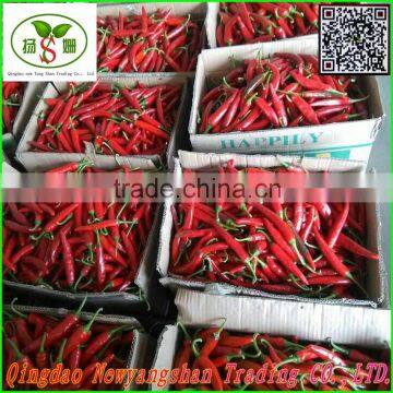 Fresh chilli / CHILI (jin ta)
