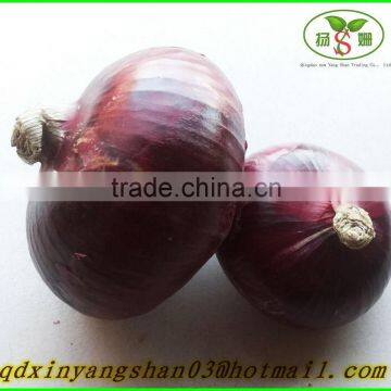 (CHINA RED ONION OFFER ) Red Onion /Fresh Onion