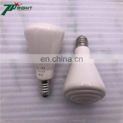 300W Bulb IR Ceramic Far Infrared Industrial Heater Lamp photo-4