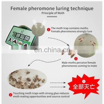 Non-toxic Pheromones Attractant Moth Trap With Wardrobe Glue Trap Board Clothes Moth And Pantry Moth Killer
