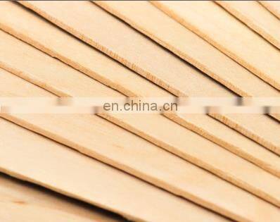 Bamboo Craft Sticks Ice Cream Sticks Natural Bamboo Popsicle Sticks photo-4
