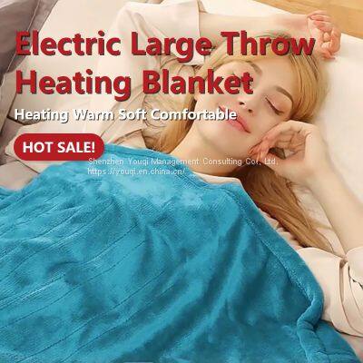 Factory Price Flannel Electric Blanket/ Hot-sale Electric Blanket/ Double Body Electric Blanket/