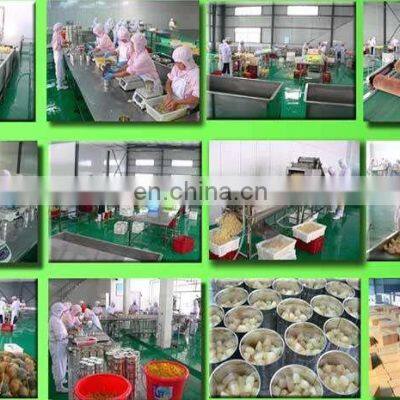New Arrival Vegetables Processing Machine Vegetables Washing Machine photo-5