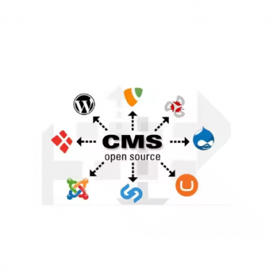 Web Developers Web Design Custom Content Management Software for Business Growth Available at Wholesale Price
