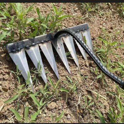 All Steel Hardened Nail Tines Grass Harrow Digging Wild Vegetables Lawn Loosening Rakes Hand Garden Sweeping Tool Weeding Rake photo-3