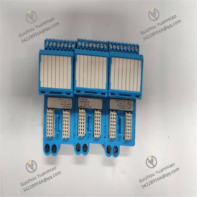 Emerson VE4013S2B1 Standard I/O Termination Block photo-5