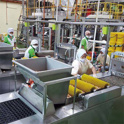 Teddy Bear Center Filled Biscuits Chocolate Filled Biscuit Production Machines photo-4
