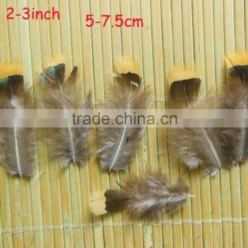 Wholesale Diy Feather Decorative Craft Feather photo-2