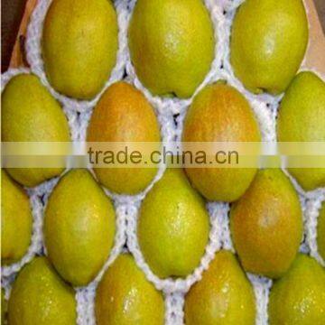 Expand Tubular Foam Sox Net photo-3