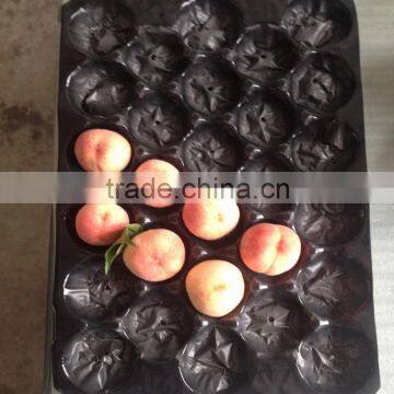 Custom Wholesale Fruit Plastic Stacking Tray