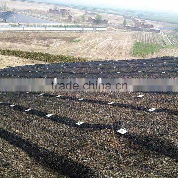 Three -dimension Geomat photo-6