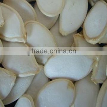 china shine skin pumpkin seeds