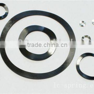 High Precision Crest to Crest Stainless Steel Wave Springs photo-2