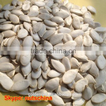 PUMPKIN SEEDS FOR SAUDI ARABIA JORDAN RUSSIA 11cmup 13 cm up 11mm up 13 mm up