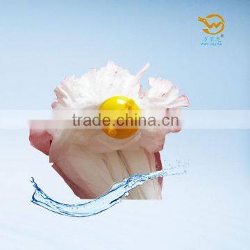 E400W Best Wish Non-woven Screw Mop Head photo-4