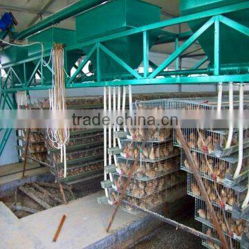 Galvanized wire mesh layer quail cage wholesale