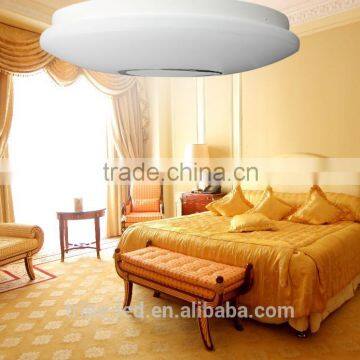 LED Ceiling Light