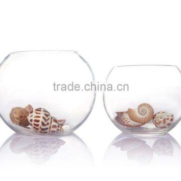 Wholesale Market Clear Glass Wide Mouth Vase Deocrative Novetly Glass Vase