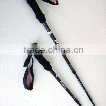 EVA HANDLE Walking stick