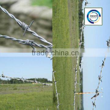 2014 hot sale barbed wire price per roll/sheep fence alibaba express