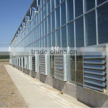 Multi Span Commercial Glass Greenhouse Greenhouse