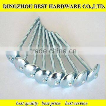 twist shank roofing nail
