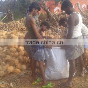 Delhi Coconuts photo-2