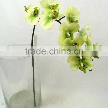 Light Green 12 Flower Real Touch Mini Butterfly Orchid for Wedding Decoration