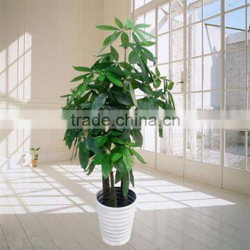 large money tree for living room decoration