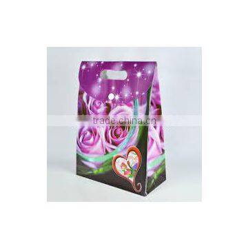 China factory fashion food grade plastic bags