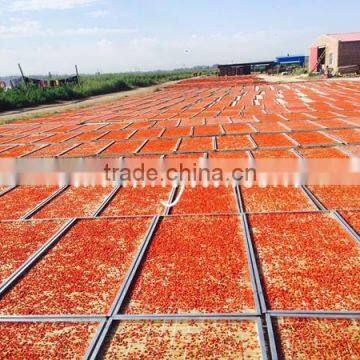 China Dried Fresh Goji Berry