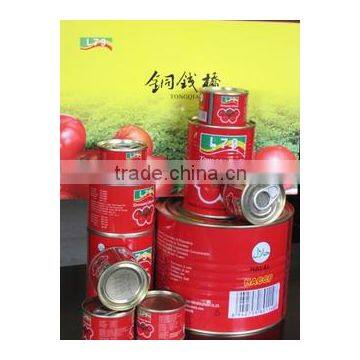 4.5KG High Quality Manufactory China Factory Canned Tomato Paste photo-5