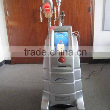Vertical Guangzhou BL Effective Body Slimming Machine Fat Freeze Cryolipolysis Device Local Fat Removal