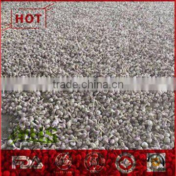 Organic One Bulb Fresh One Clove Garlic photo-2