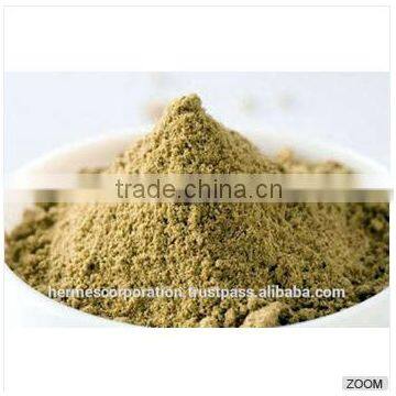 Best Quality Coriandrum sativum powder