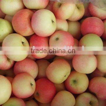 chinese gala apple