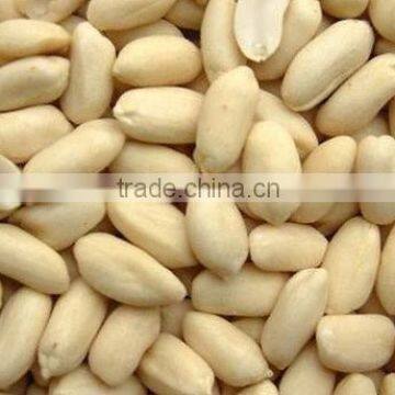 Wholeslae raw blanched peanuts