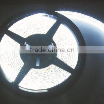 LED Strip Light (B-3528-5M-600SMD-12V-W)