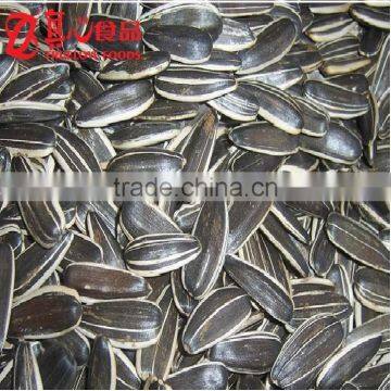 Wholesale Raw Sunflower Seeds