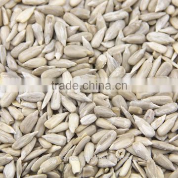 Organic cultivation type and fresh style sunflower seeds kernel new