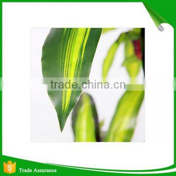 Real Touch Artificial Brazil Dracaena Decorative Silk Plant in Pot photo-5