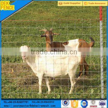 Galvanized 4x4 welded wire mesh goat fence