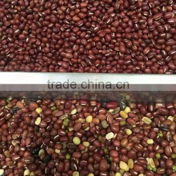 Grain Color Sorter for Sorting Different Coarse Cereals photo-5