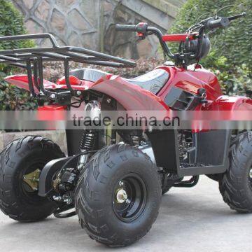 125cc 4 Wheel Quad Bike ATV Motorcycle ATV 125cc ATA125-B photo-5