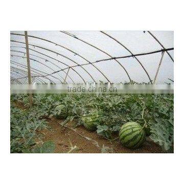 Tunnel Greenhouse Film Cover Low Cost Agricultural Farm Steel Frame Comercial Green House Single Span photo-2