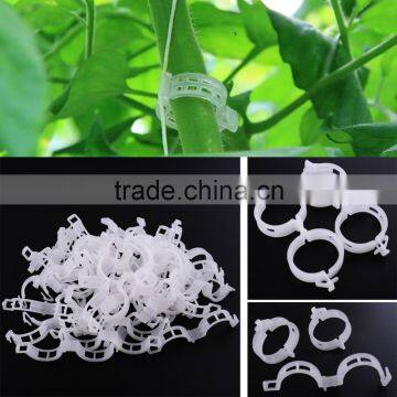 Cheap Plastic Tomato Clip for Agriculture Garden Use photo-2